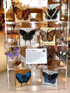 Butterfly Paintings by Kelly McGee