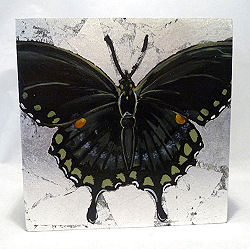 Butterfly Painting